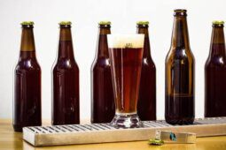 Mang Alimenticia Cerveza