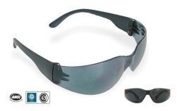 Anteojo Seguridad Ecoline Libus Caja X 10 Unidades