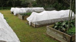 Alternative view of Tela Manta Antihelada Termica Invernadero Plantas 2 X 5 Mt