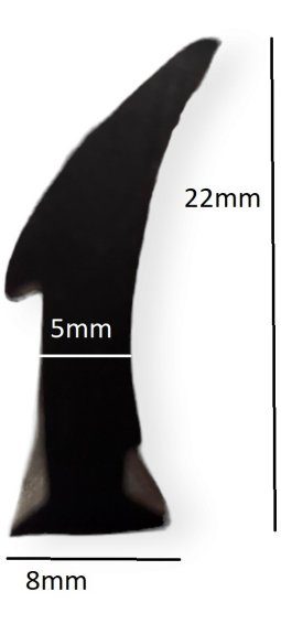 Alternative view of Burlete Perfil Terminacion Ventana Goma Epdm 22mm X 5mt