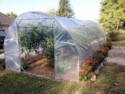 Alternative view of Polietileno Cristal Transparente Invernadero Uv Ancho 4,20mt