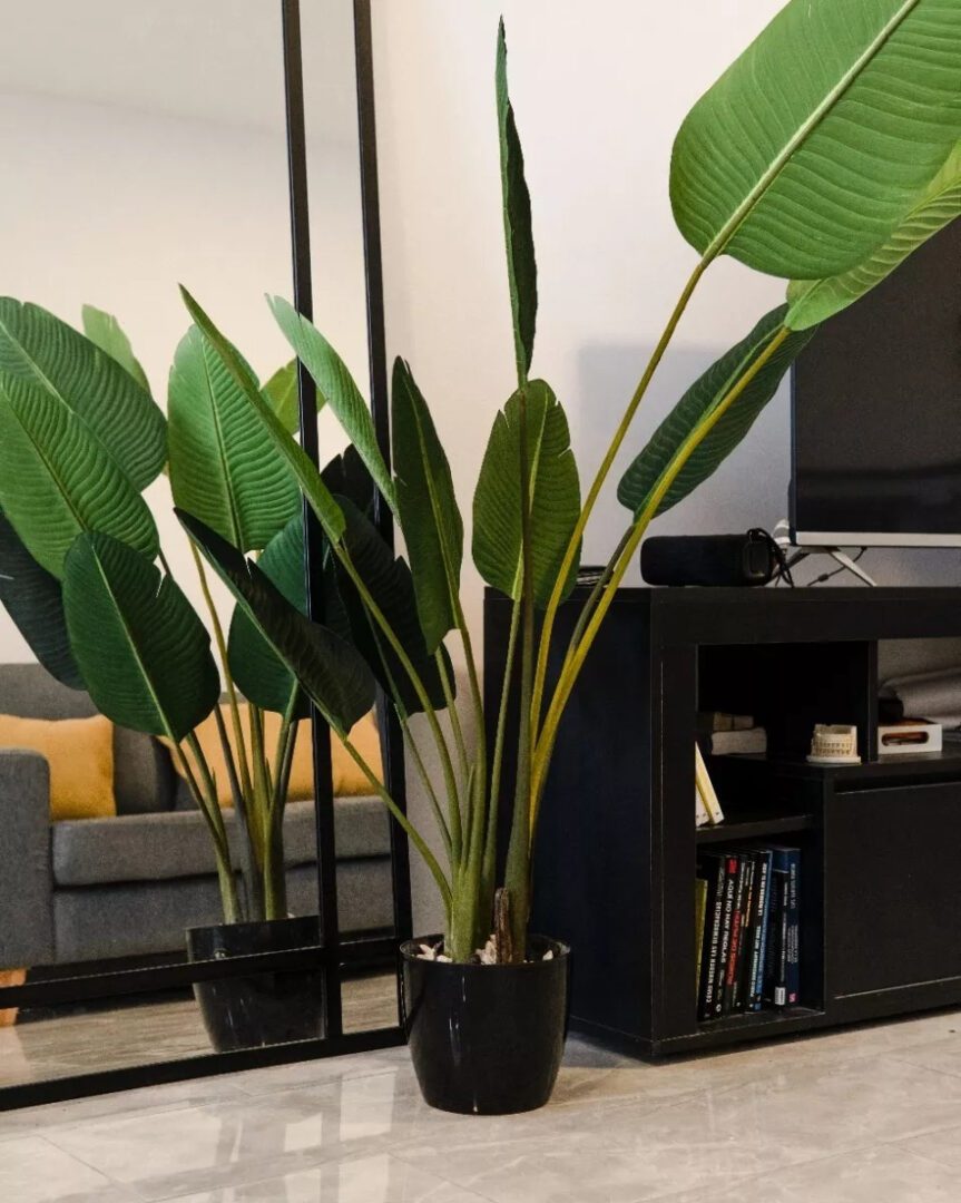 Planta Artificial Grande Decoracion Ave De Paraiso 180cm - Imagen 3