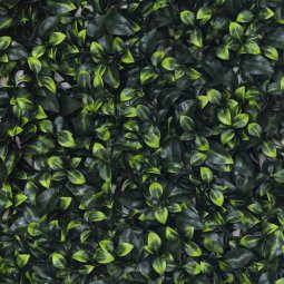Alternative view of Cerco Muro Pared Planta Artificial Sintético Hoja traful 50x50cm Uv