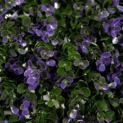 Alternative view of Cerco Muro Pared Planta Artificial Hojas Violetas 50x50cm Uv