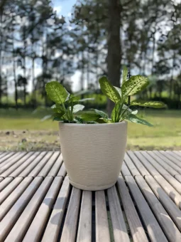 Maceta Amsterdam Plástico Chica Rotomoldeada 27 X 28cm Con Plato