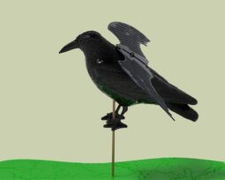 Alternative view of Super Cuervo C/alas Plastico Ahuyenta Espanta Palomas Raven