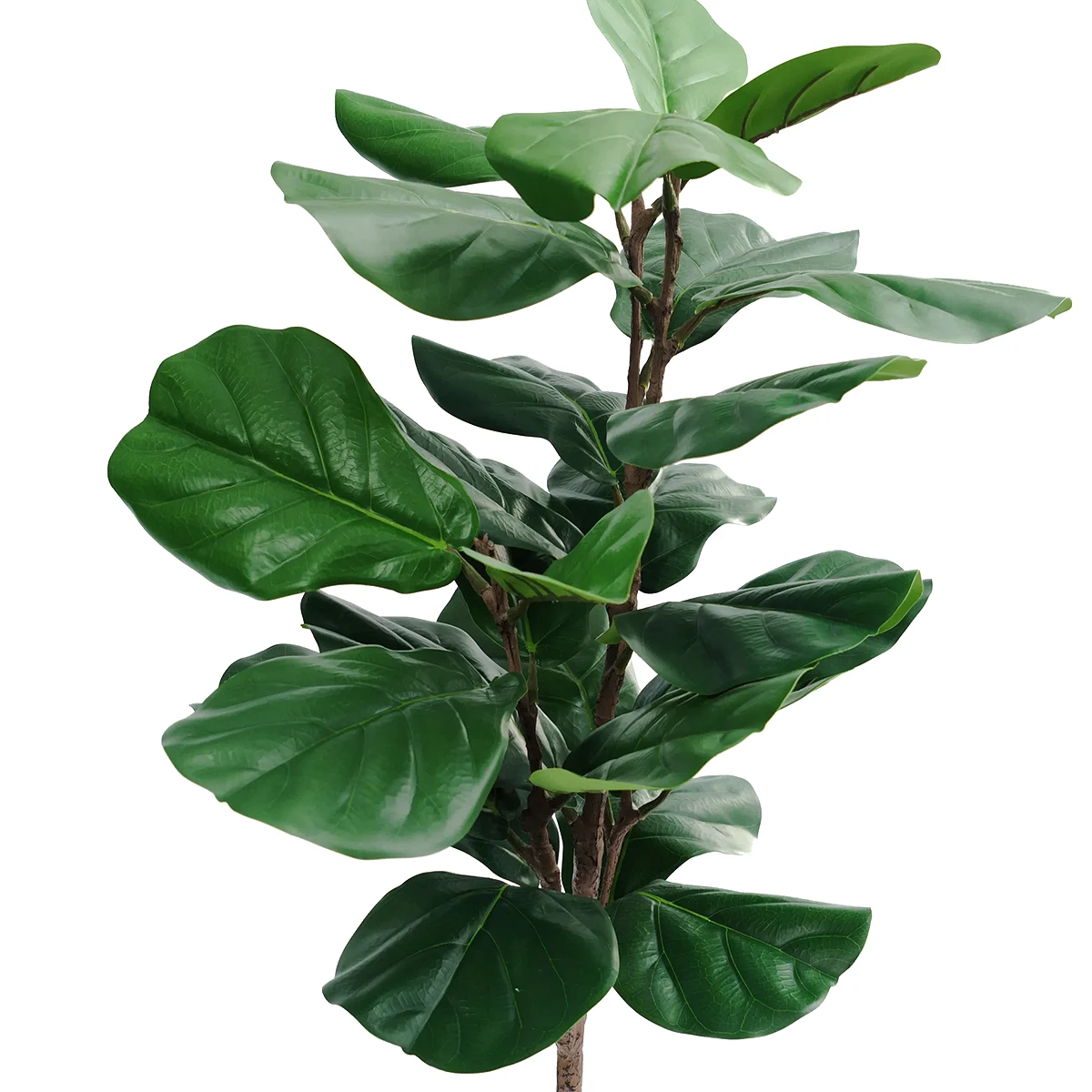 Planta Artificial Grnade Decoracion Hoja Violin 120cm - Imagen 7