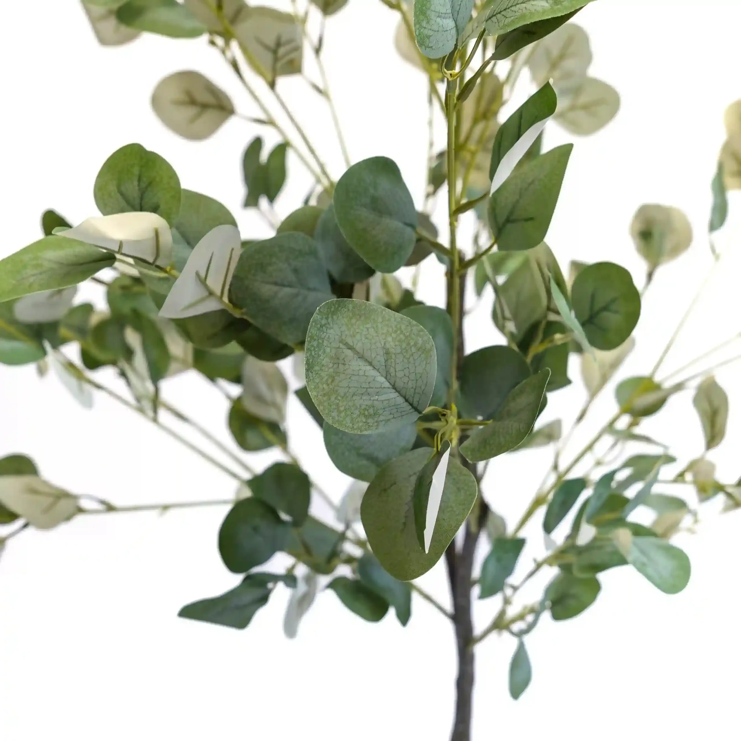 Planta Artificial Uv Eucaliptus 120cm - Imagen 3