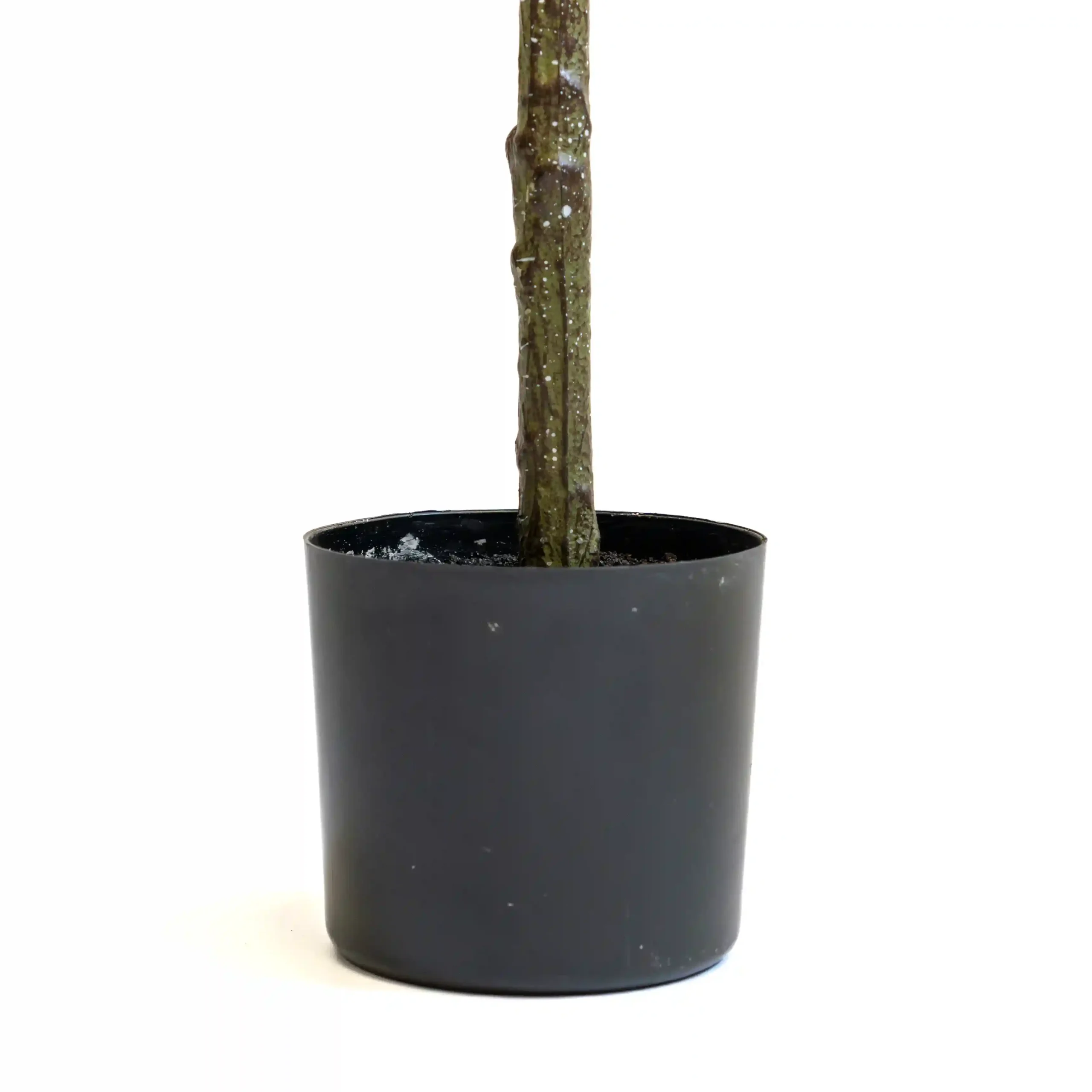 Planta Artificial Uv Eucaliptus 120cm - Imagen 4