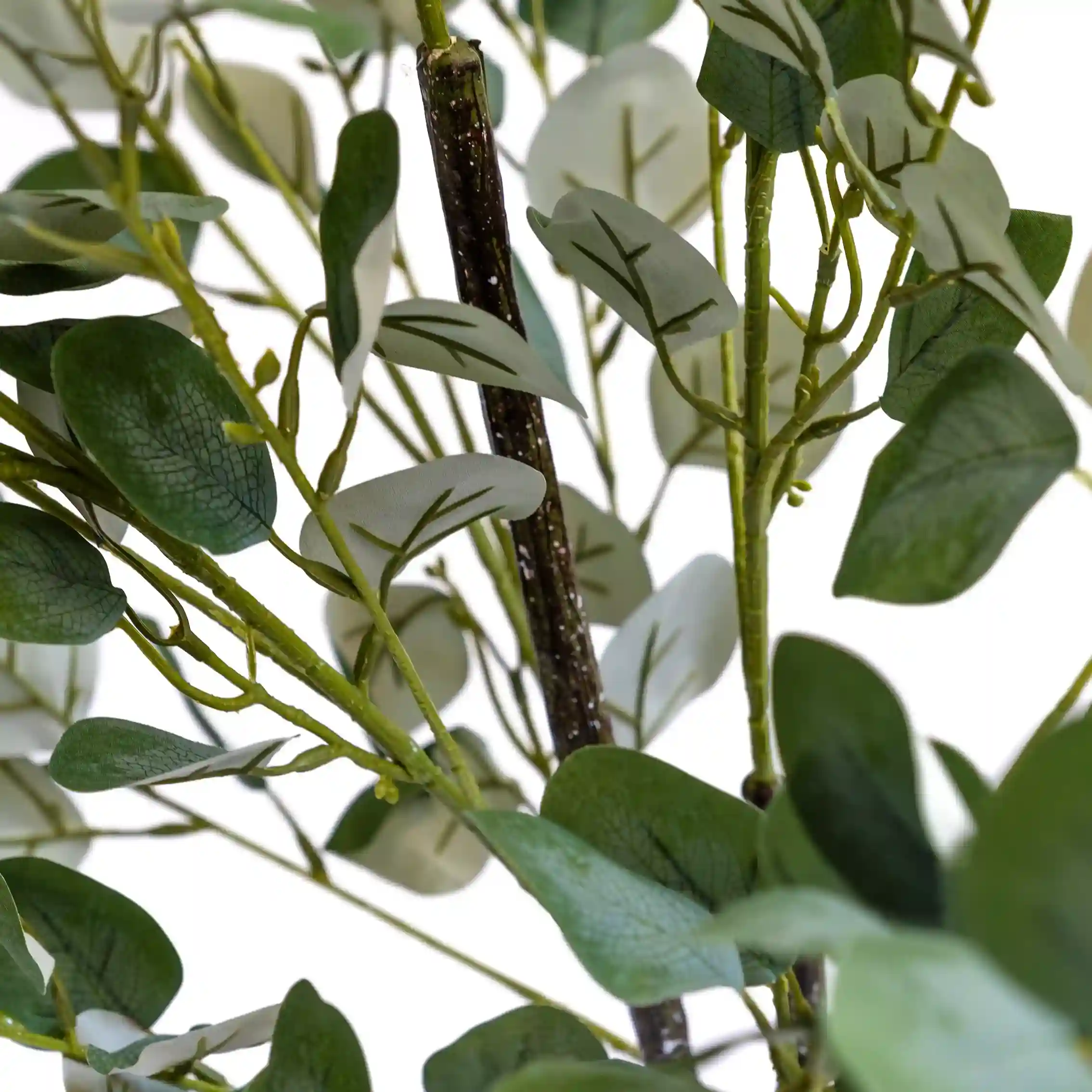Planta Artificial Uv Eucaliptus 120cm - Imagen 7