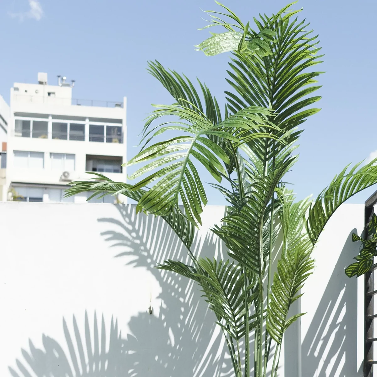 Planta Artificial Exterior Decoración Palmera Areca 200cm - Imagen 4