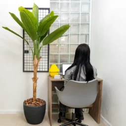 Alternative view of Planta Artificial Banano Grande Exterior Interior 150cm Verde